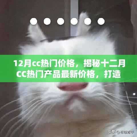 小紅書獨家解析，揭秘十二月CC熱門美妝產品最新價格，引領美妝新風尚