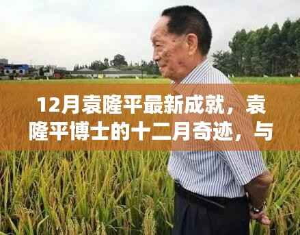 袁隆平博士十二月奇跡，自然美景中的內(nèi)心平和之旅