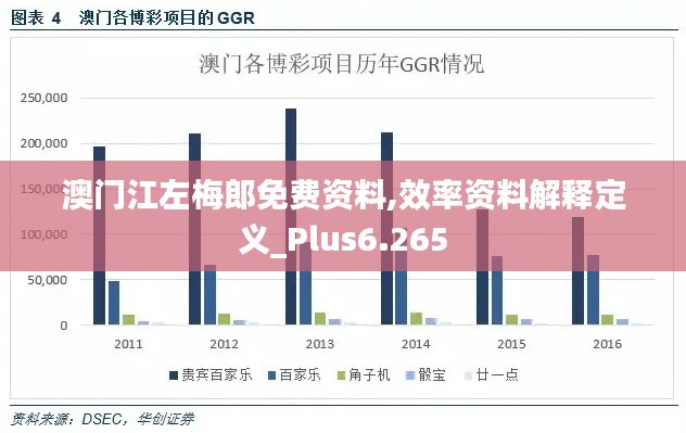 澳門江左梅郎免費資料,效率資料解釋定義_Plus6.265
