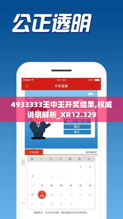 4933333王中王開獎(jiǎng)結(jié)果,權(quán)威說明解析_XR12.329