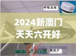 2024新澳門天天六開好彩大全,數(shù)據(jù)驅(qū)動(dòng)計(jì)劃解析_動(dòng)態(tài)版5.396