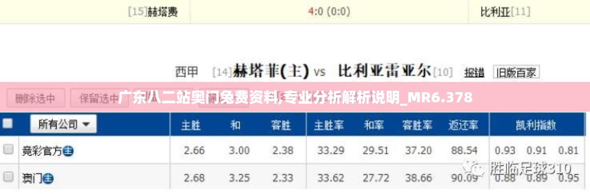 廣東八二站奧門兔費(fèi)資料,專業(yè)分析解析說明_MR6.378