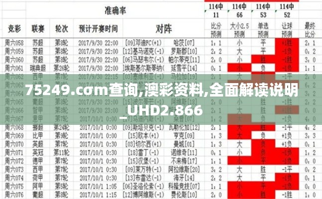 75249.cσm查詢,澳彩資料,全面解讀說明_UHD2.866