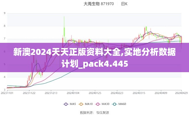新澳2024天天正版資料大全,實地分析數(shù)據(jù)計劃_pack4.445