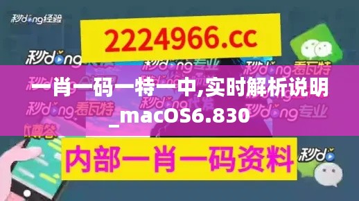 一肖一碼一特一中,實時解析說明_macOS6.830