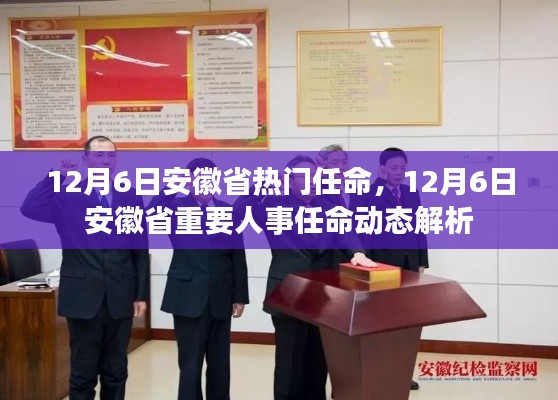 12月6日安徽省人事任命動(dòng)態(tài)解析