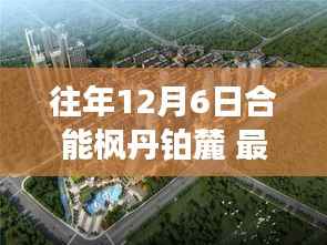 合能楓丹鉑麓十二月六日最新動態(tài)揭秘與影響概述