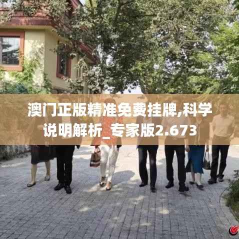 澳門正版精準免費掛牌,科學說明解析_專家版2.673