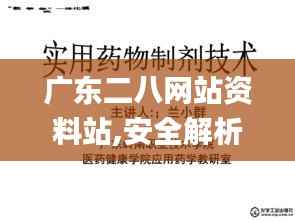 廣東二八網(wǎng)站資料站,安全解析策略_桌面版2.902