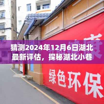 探秘湖北小巷深處的獨(dú)特風(fēng)味，一家特色小店未來猜想與評估展望（2024年12月6日）