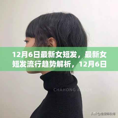 最新女短發(fā)流行趨勢解析，12月6日的時尚焦點(diǎn)與發(fā)型變革