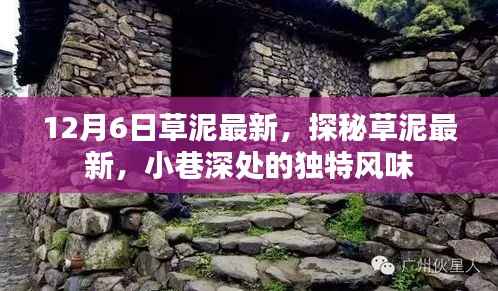 草泥最新探秘，小巷深處的獨(dú)特風(fēng)味