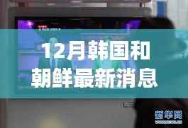 揭秘獨家重磅，韓國與朝鮮科技融合新突破，引領未來生活新篇章的十二月最新消息