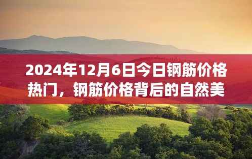 鋼筋價格背后的自然美景探索之旅，心靈洗禮與寧靜之旅啟程