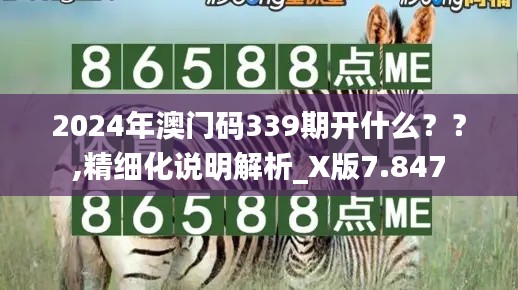 2024年澳門碼339期開什么？？,精細化說明解析_X版7.847