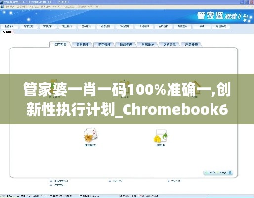 管家婆一肖一碼100%準(zhǔn)確一,創(chuàng)新性執(zhí)行計(jì)劃_Chromebook6.921