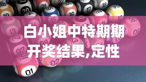 白小姐中特期期開獎結果,定性評估解析_7DM15.464