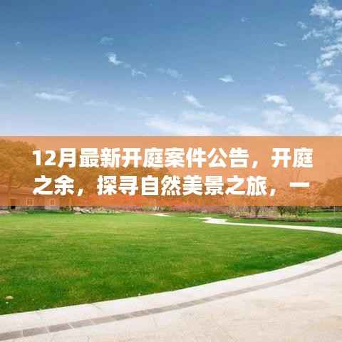 12月最新開庭案件公告，開庭之余，探尋自然美景之旅，一場遠離塵囂的心靈之旅