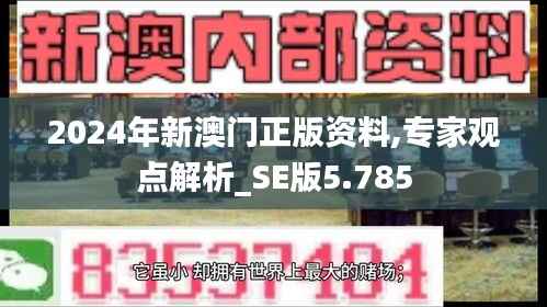 2024年新澳門正版資料,專家觀點(diǎn)解析_SE版5.785