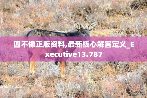 四不像正版資料,最新核心解答定義_Executive13.787