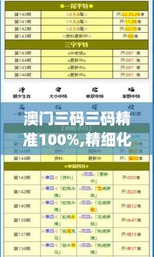 澳門(mén)三碼三碼精準(zhǔn)100%,精細(xì)化執(zhí)行計(jì)劃_開(kāi)發(fā)版11.544