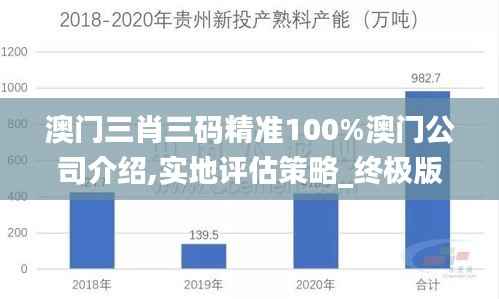 澳門三肖三碼精準(zhǔn)100%澳門公司介紹,實地評估策略_終極版6.858
