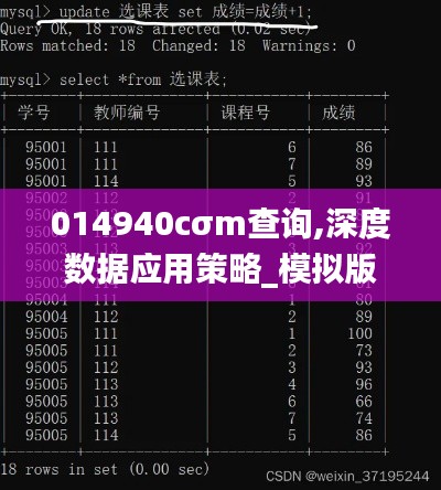 014940cσm查詢,深度數(shù)據(jù)應用策略_模擬版2.763