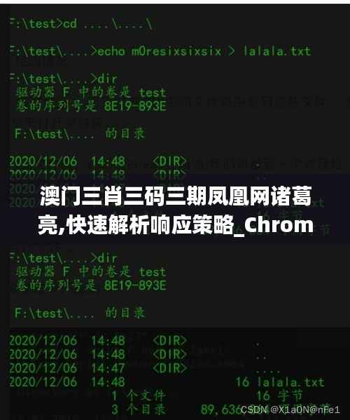 澳門三肖三碼三期鳳凰網諸葛亮,快速解析響應策略_Chromebook9.264