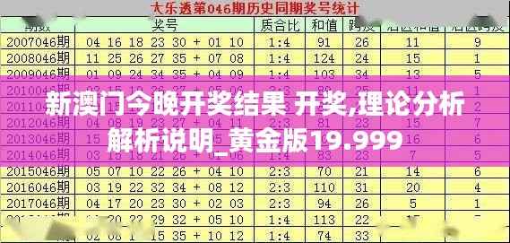 新澳門今晚開獎結果 開獎,理論分析解析說明_黃金版19.999