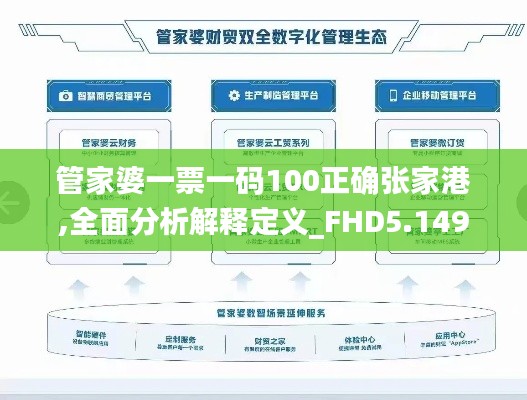 管家婆一票一碼100正確張家港,全面分析解釋定義_FHD5.149