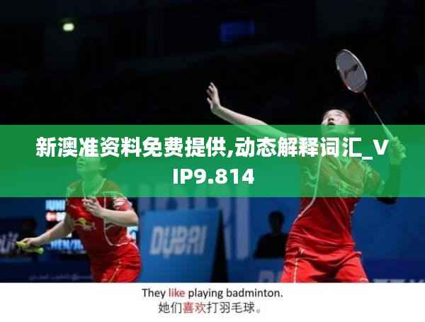 新澳準(zhǔn)資料免費(fèi)提供,動態(tài)解釋詞匯_VIP9.814