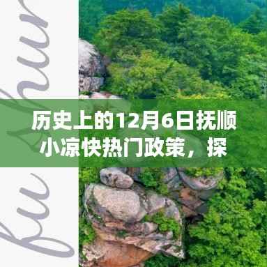 撫順小涼快政策探秘，獨(dú)特韻味與巷弄美食的奇緣