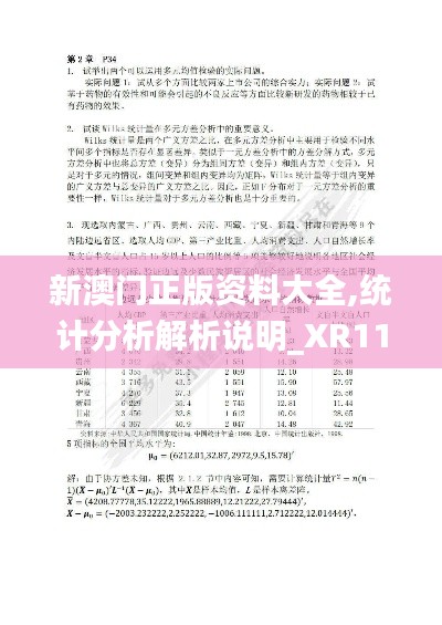 新澳門正版資料大全,統(tǒng)計分析解析說明_XR110.718