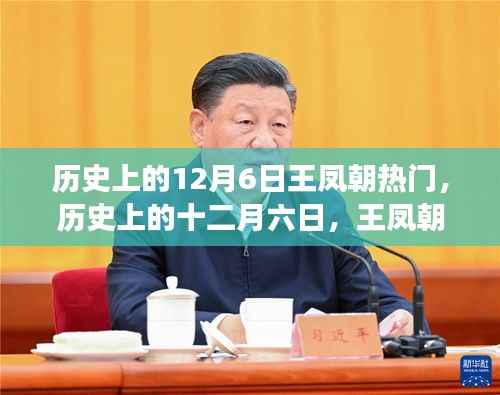 王鳳朝與大自然的神秘之旅，十二月六日的熱門啟程探尋內(nèi)心寧?kù)o之路