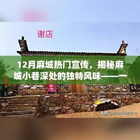揭秘麻城小巷深處的獨(dú)特風(fēng)味，秘密美食小店成麻城熱門宣傳焦點(diǎn)