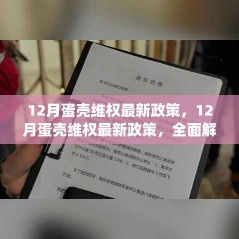 全面解讀，蛋殼維權(quán)最新政策特性、用戶體驗(yàn)與目標(biāo)用戶群體分析揭秘