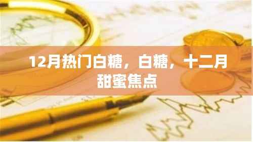 白糖熱潮來襲，十二月甜蜜聚焦白砂糖