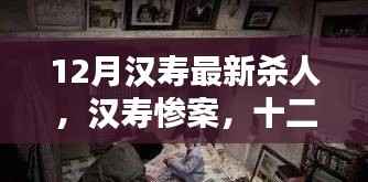 漢壽慘案揭秘，深度探究十二月悲劇背后的真相
