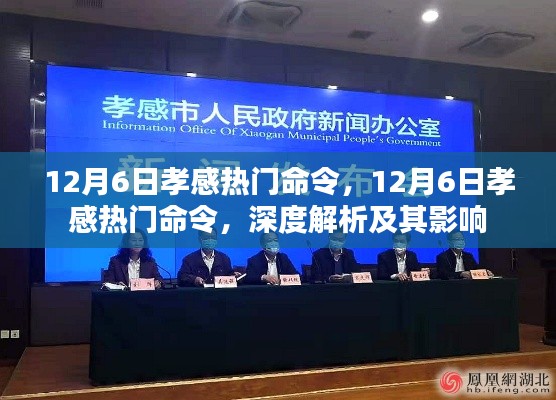 深度解析，孝感熱門命令背后的影響力與影響