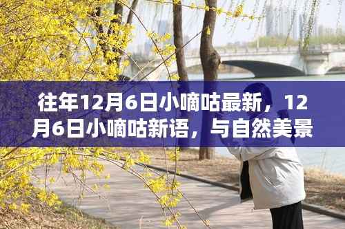 12月6日小嘀咕新語，與自然美景的不解之緣