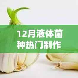 12月液體菌種熱門制作深度解析與觀點探討，制作方法與啟示