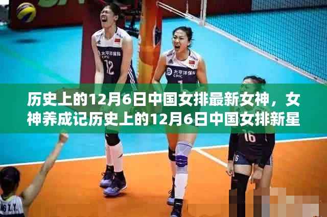 中國女排新星女神養(yǎng)成記，排球達(dá)人的閃耀之路（12月6日特輯）