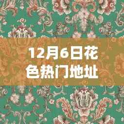 12月6日花色熱門地址，12月6日花色熱門地址，揭秘其背景、事件、影響與時代地位