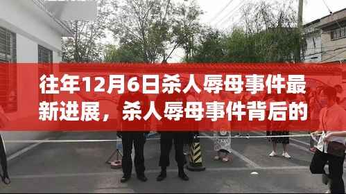 殺人辱母事件最新進(jìn)展，友誼之光照亮冬日陰霾背后的溫暖日常