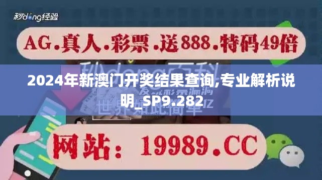 2024年新澳門開獎(jiǎng)結(jié)果查詢,專業(yè)解析說明_SP9.282