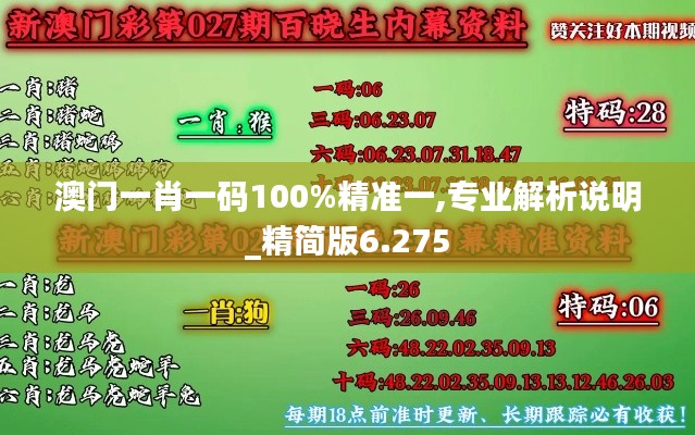 澳門一肖一碼100%精準(zhǔn)一,專業(yè)解析說(shuō)明_精簡(jiǎn)版6.275