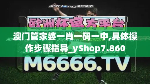 澳門管家婆一肖一碼一中,具體操作步驟指導(dǎo)_yShop7.860