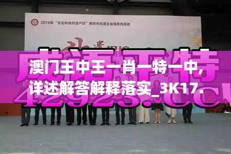 澳門王中王一肖一特一中,詳述解答解釋落實_3K17.664