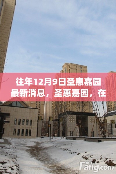 圣惠嘉園冬日探秘，自然美景的奇妙之旅最新消息揭秘