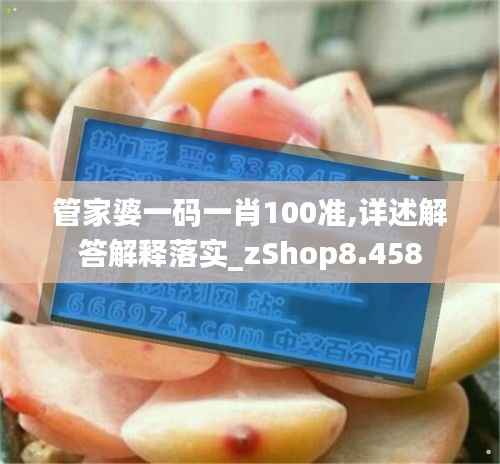 管家婆一碼一肖100準(zhǔn),詳述解答解釋落實_zShop8.458